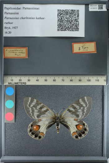 Media type: image;   Entomology 180475